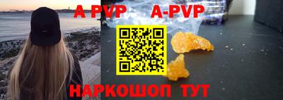 тгк Новодвинск