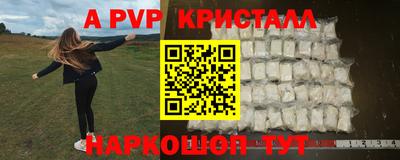 тгк Новодвинск
