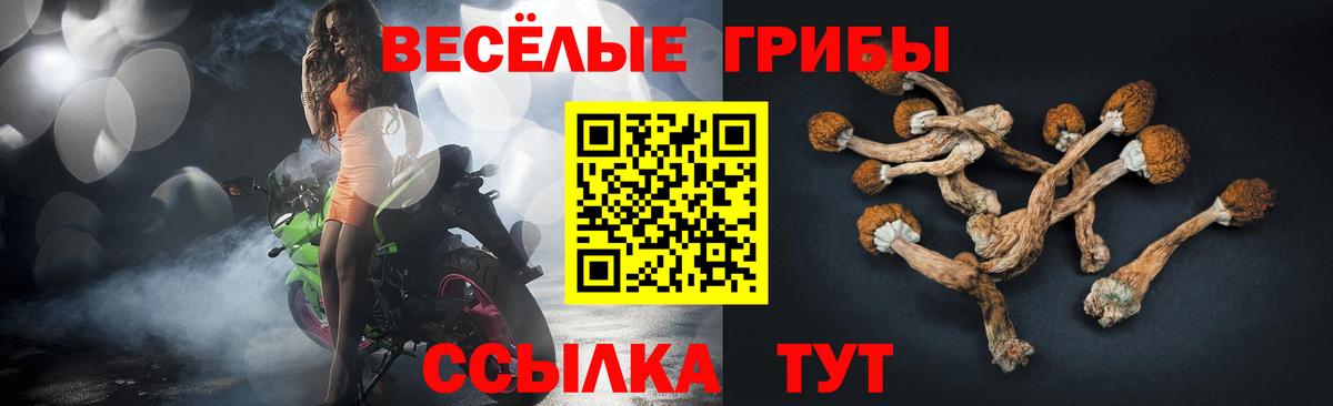 Псилоцибиновые грибы прущие грибы  Вход с VPN  Узловая  Псилоцибиновые грибы Psilocybine cubensis 